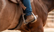 Replaceable rider education photograph